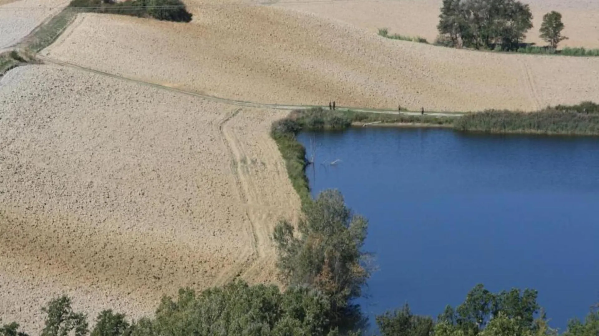 Beautiful Holiday Home In Vinci With Swimming Pool